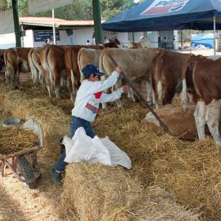 Se pierden siete mil 455 empleos en mayo: IMSS