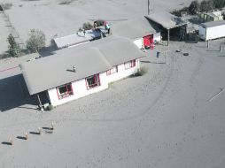 El hombre [...] declaró: “Por andarle echando piedras al gato ese, me rompiste un vidrio del patio”. EFE /