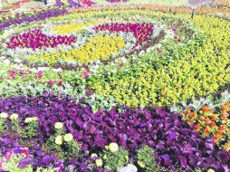 Esta rosa no se utiliza exclusivamente en la industria de perfumes, ya que posee otros usos, dependiendo de su calidad. EL INFORMADOR / A. Camacho