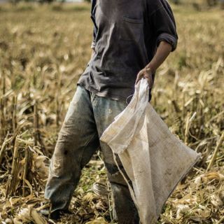 Rescatan a menores explotados en rancho de Coahuila