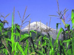 Verdor. El parque ecológico Paso Coyol, uno de los orgullos de Córdoba. ESPECIAL / Parque Ecológico Paso Coyol
