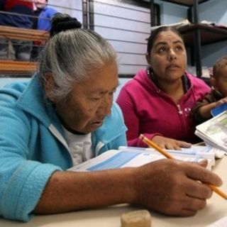 Abandonan estudios nueve de cada 10 adultos