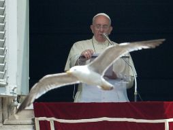 En su mensaje también recordó que este día se celebra la Jornada Mundial de los Donadores de Sangre. AFP / T. Fabi