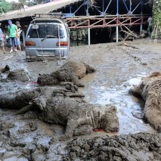 Inundaciones en Georgia dejan 14 muertos y nueve desaparecidos