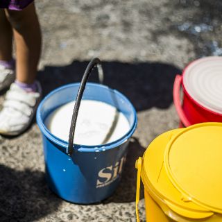 En marcha, revisión de padrón de lecheros de Liconsa