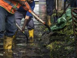 La lluvia del pasado jueves provocó la caída de 68 árboles, inundaciones en 195 casas y pasos desnivel del municipio. EL INFORMADOR / ARCHIVO