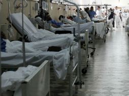 Se identificó a las 120 personas con lesiones cutáneas y se estableció el diagnóstico de sospecha de intoxicación. EL INFORMADOR / ARCHIVO