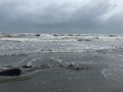 El huracán 'Carlos' ha ocasionado lluvias intermitentes en la zona costera y nublados en el resto de la entidad. NTX / A. Covarrubias