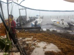 El huracán 'Carlos' se encontraba a 180 kilómetros de Manzanillo esta mañana; provocará lluvias intensas en Nayarit. EFE / ARCHIVO