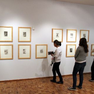 El Museo Nacional de San Carlos en nueve datos