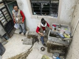 La Secretaría de Salud de Colima mantiene las acciones de control, tanto del chinkungunya y el dengue. EL INFORMADOR / ARCHIVO