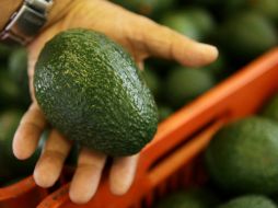 El aguacate es uno de los alimentos ricos en vitamina B. EL INFORMADOR / ARCHIVO