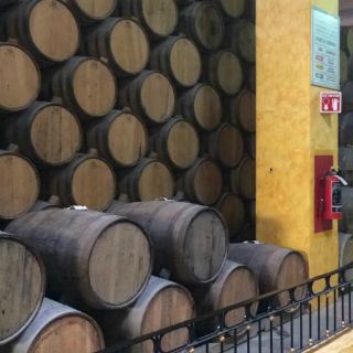 Industria tequilera implementará medidas a favor del medio ambiente