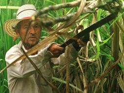 El alcalde de Amatlán de los Reyes ostenta ahora del predio, que estaba abandonado desde los años 90 y nunca apareció el dueño. EL INFORMADOR / ARCHIVO