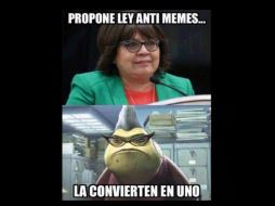 La funcionaria dice representar a quienes han recibido ''ataques'' en las redes sociales. TWITTER / @ferescosa