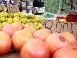 Es un mito que el jugo de toronja quema grasa, ningún alimento tiene como función quemar grasa. EL INFORMADOR / ARCHIVO