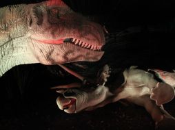 La quinta se produjo hace 66 millones de años y acabó con los dinosaurios. EL INFORMADOR / ARCHIVO