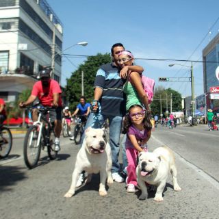 Papás de hoy colaboran más en casa y son más sensibles