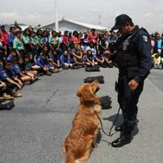 La CNS y Scouts crean figura del Comisario Social Honorario
