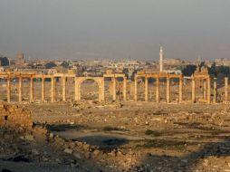 El Estado Islámico tomó el control de Palmira, famosa por sus conservadas ruinas greco-romanas, el pasado 21 de mayo. EFE / Y. Bawari
