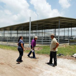 Reconocen calidad internacional de carne mexicana