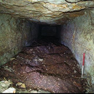 Hallan millones de perros momificados en ofrenda a Anubis