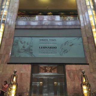 Obras de Miguel Ángel ya fulguran en Bellas Artes