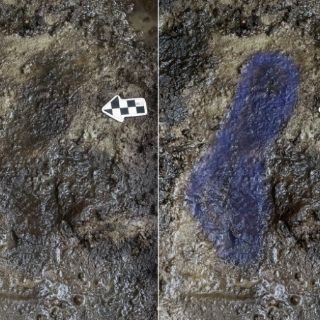 Descubren en Canadá huellas humanas de hace 13 mil años