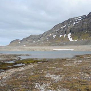 La biodiversidad de la Antártida es más rica de lo que se pensaba