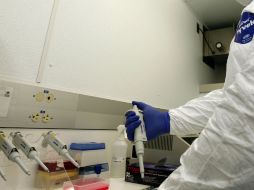 El resultado obtenido forma parte del primer reporte realizado en Latinoamérica y continuarán con el estudio. EL INFORMADOR / ARCHIVO