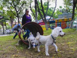 El Ayuntamiento tiene 10 solicitudes de personas que quieren un espacio para sus 'mejores amigos'. EL INFORMADOR / F. Atilano