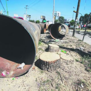 Han retirado 539 árboles por obras de Línea 3