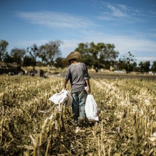 La FAO y México acuerdan democratizar producción de alimentos