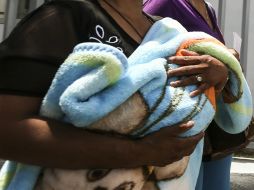 El IMSS ya investiga, y de hallar responsabilidad médica actuarán conforme a la ley. EL INFORMADOR / ARCHIVO