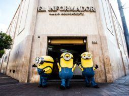 Bob, Stuart y Kevin tienen la encomienda de abarrotar las salas de cine del país, y seguro lo lograrán. EL INFORMADOR /