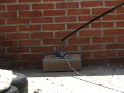 El paquete fue ingresado a las instalaciones, pero fue sacado de inmediato al darse cuenta que no era un objetivo común. EL INFORMADOR / ARCHIVO