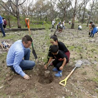 Extra AC planta árboles en el Bosque del Centinela
