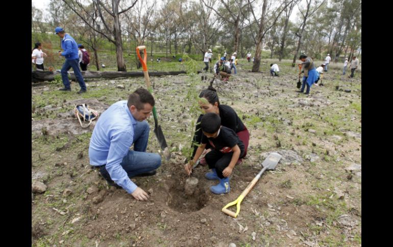 Se plantan 450 árboles de Mezquites, Palo Dulce, Guamúchil y Guaje, que son endémicos de la zona. EL INFORMADOR / A. Camacho