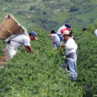 México y EU buscan agilizar comercio agropecuario