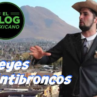 El Blog Mexicano: 'Leyes Antibroncos'