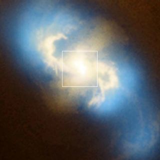 Científicos descubren cinco agujeros negros