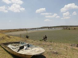 En el noreste y sureste del territorio, las condiciones de sequía disminuyeron por las lluvias de la temporada. EL INFORMADOR / ARCHIVO
