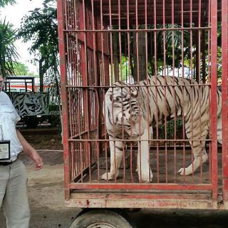 La Profepa revisa cumplimiento a la Ley de Vida Silvestre