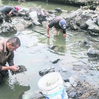 Con palas y suerte buscan oro en el canal de Atemajac
