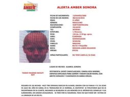 El procurador de justicia difunde información sobre su desaparición en su cuenta de Twitter. TWITTER / @navarrosugich