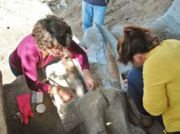 Los restos óseos son localizados por trabajadores del INAH en mayo de 2014 y no se tiene noticia de otro hallazgo tan completo. ESPECIAL / inah.gob.mx