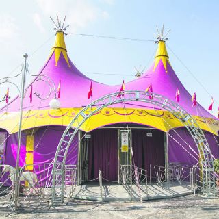 Circo Rolex busca adaptarse a la nueva ley