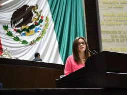 Emplear mecanismo de la deuda podría poner en riesgo el peso mexicano, asegura Lourdes Medina. TWITTER / @PANQR