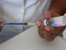 La vacuna será un elemento más para prevenir el dengue, pero México mantendrá todas las acciones de vigilancia epidemiológica. EL INFORMADOR / ARCHIVO