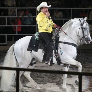 Caballo de Joan Sebastian murió una semana antes que él